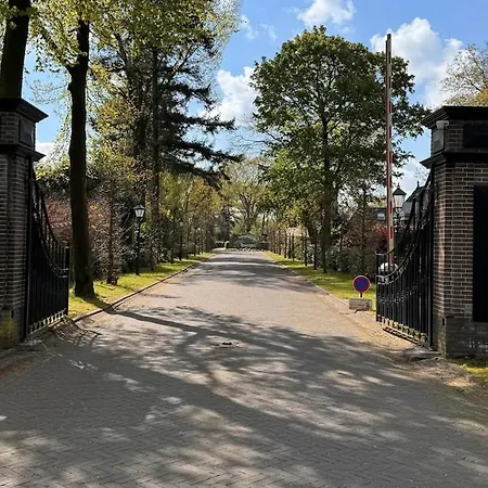 Ruim En Luxe Chalet Privetuin - Park 'de Ijsvogel' * Voorthuizen