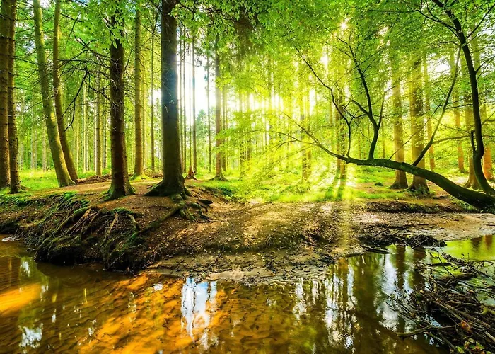 Ruim En Luxe Chalet Privetuin - Park 'de Ijsvogel' *