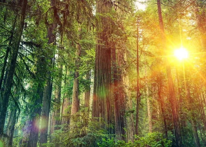 Ruim En Luxe Chalet Privetuin - Park 'de Ijsvogel'